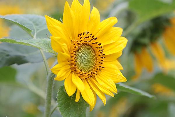 20160325163832_IMG_8057.JPG 20160325163832_IMG_8057.JPG