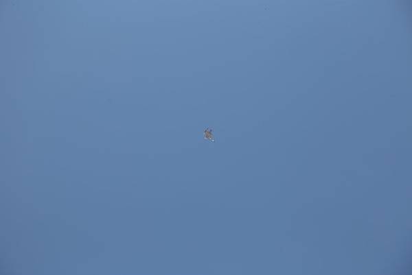 20160326103310_IMG_8756.JPG 20160326103310_IMG_8756.JPG