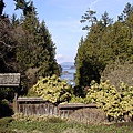 加拿大布查花園裡面的一景