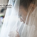 LIN_33520