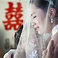 LIN_33541