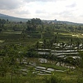 Ubud