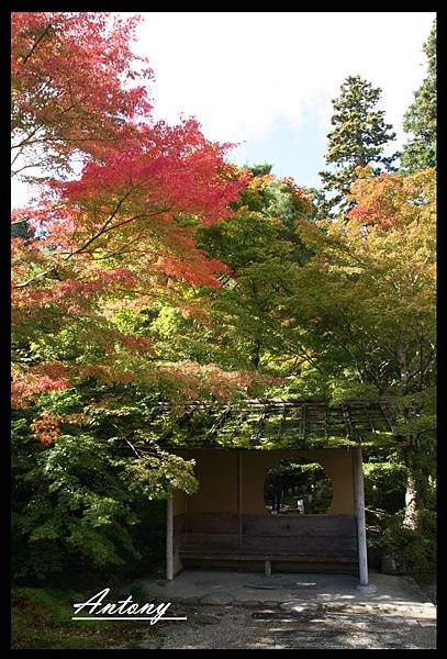 松島-圓通院楓景2.jpg