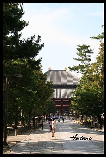 奈良-東大寺2.jpg