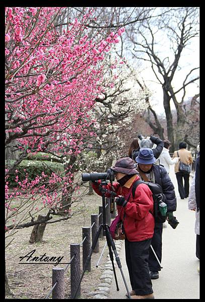 大阪城梅園3