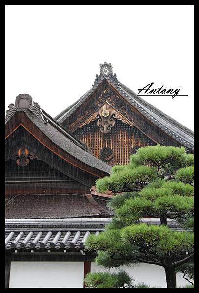 京都，雨1