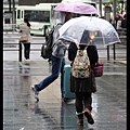 京都，雨7