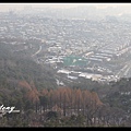 首爾，南山公園7