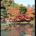 京都，天龍寺楓景6.jpg