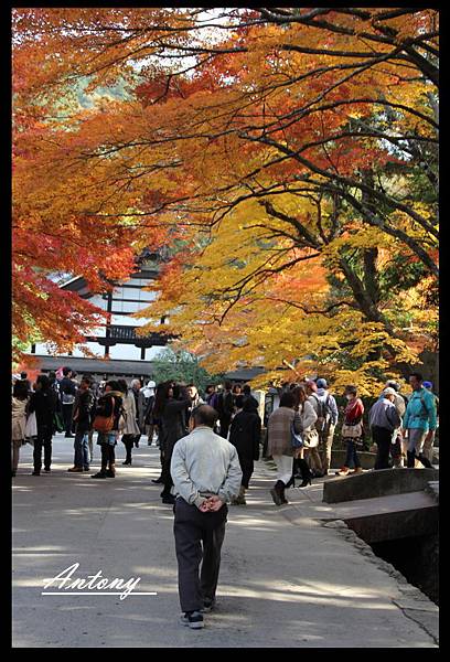 京都，南禪寺2.jpg