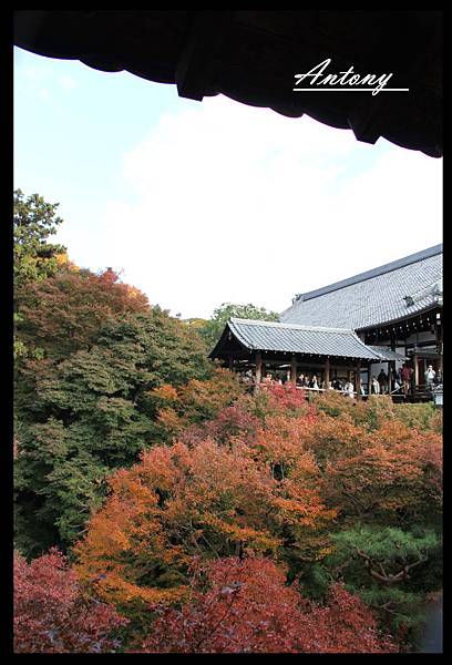 東福寺6.jpg