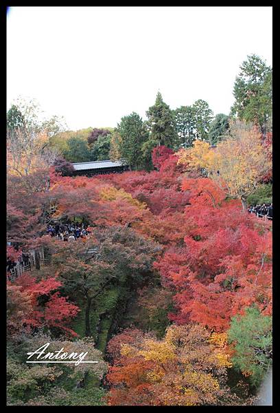 東福寺7.jpg