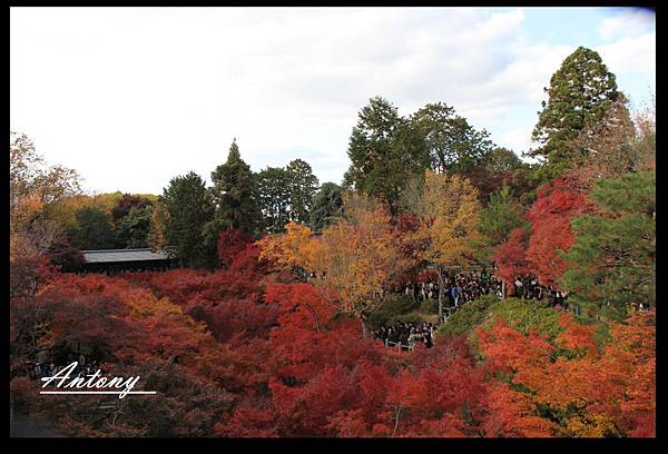 東福寺8.jpg