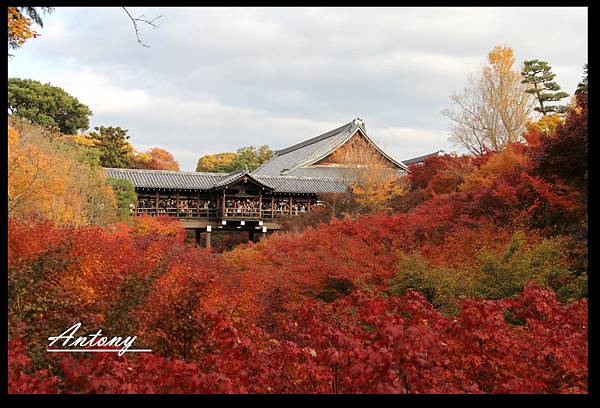 東福寺9.jpg