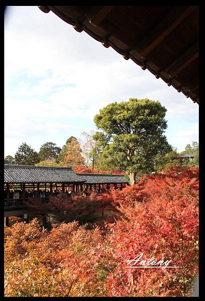 東福寺10.jpg