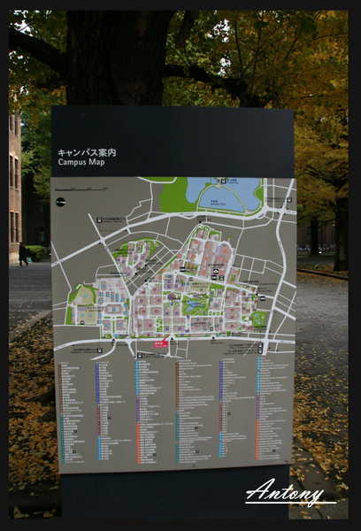 東京大學，東京9.jpg