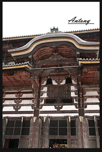 奈良-東大寺1.jpg