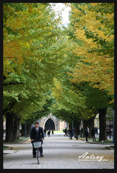 東京大學，東京8.jpg