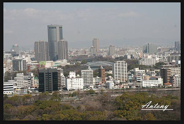 大阪-大阪城公園5.jpg