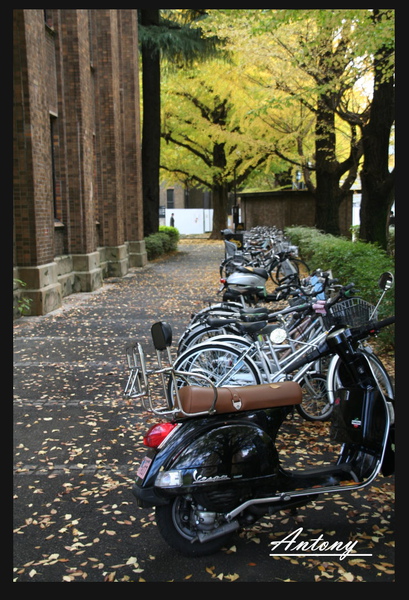 東京大學，東京7.jpg