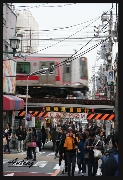 東京-自由之丘3.jpg