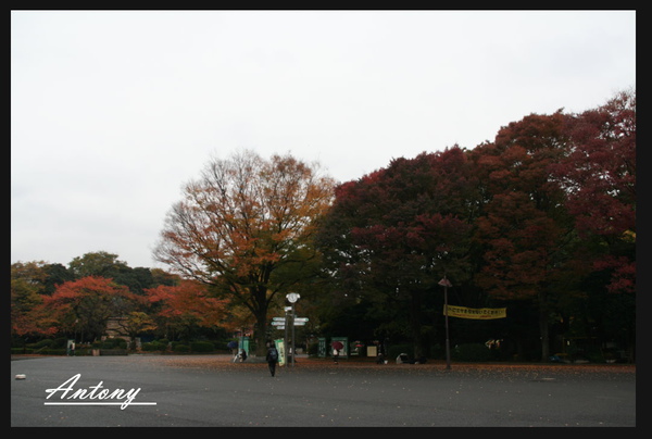 東京-上野2.jpg