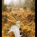 Brecon Beacons National Park