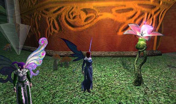 EQ2_000046.jpg