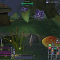 EQ2_000053.jpg