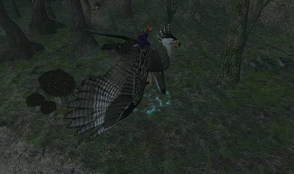 EQ2_000136.jpg