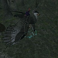 EQ2_000136.jpg