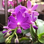 IMG_1147 IMG_1147