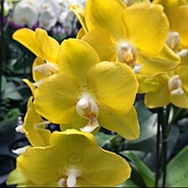 IMG_1140 IMG_1140