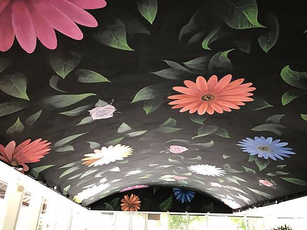 IMG_0695.JPG IMG_0695.JPG