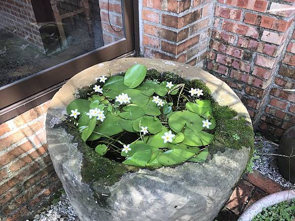 IMG_6368.JPG IMG_6368.JPG