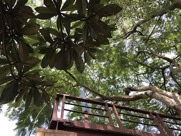 IMG_6419.JPG IMG_6419.JPG