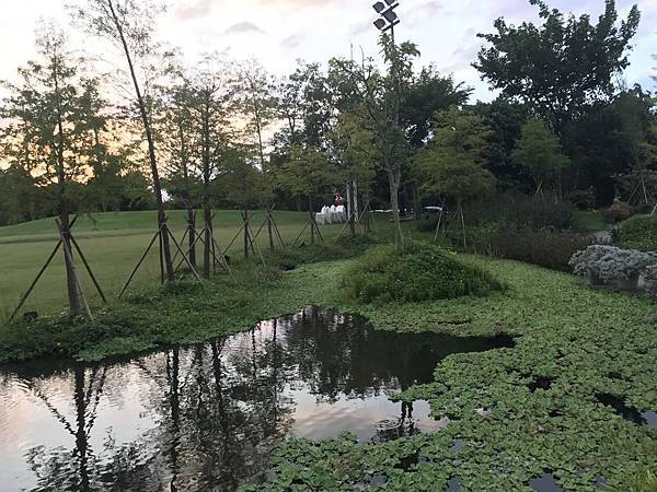 IMG_7228.JPG IMG_7228.JPG