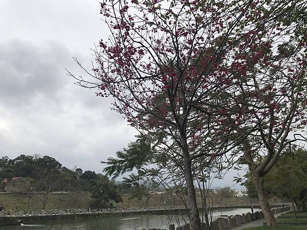 IMG_4220.JPG IMG_4220.JPG