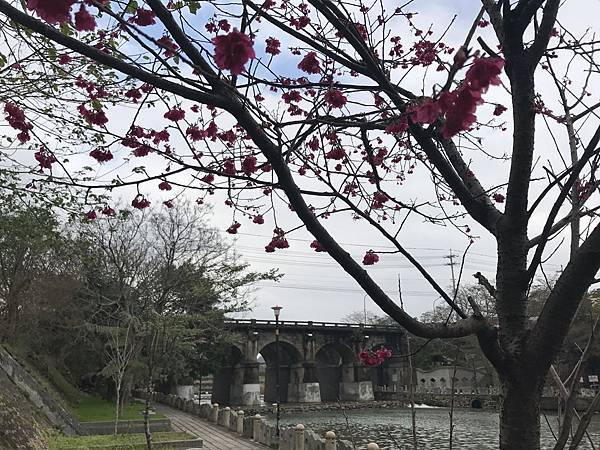 IMG_4223.JPG IMG_4223.JPG