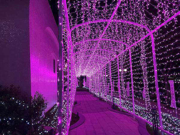 IMG_4411.JPG IMG_4411.JPG