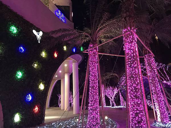 IMG_4428.JPG IMG_4428.JPG