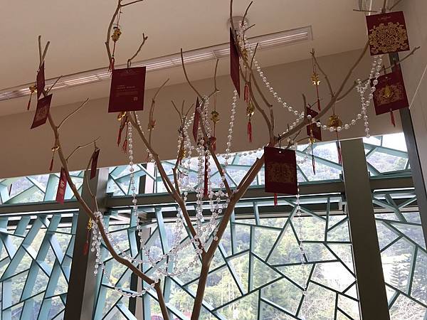 IMG_4445.JPG IMG_4445.JPG