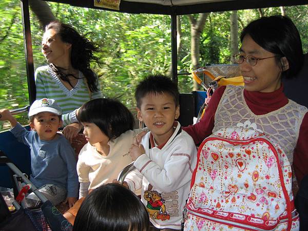 坐小火車遊動物園