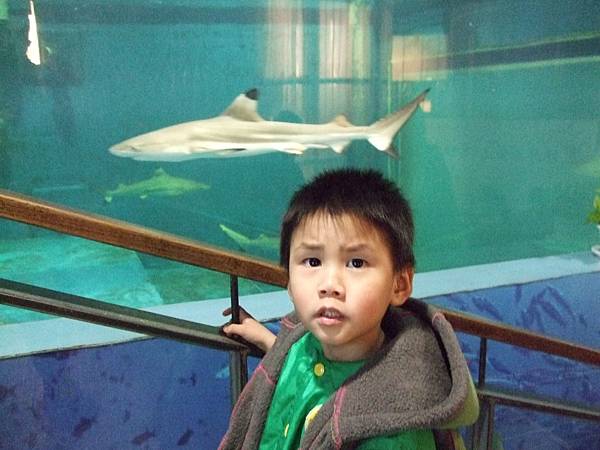 墾丁行2008.2.8清水休息站