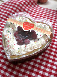 CIMG9385 copy190.jpg