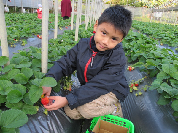 2010-12-26內湖清香農場 (24).JPG