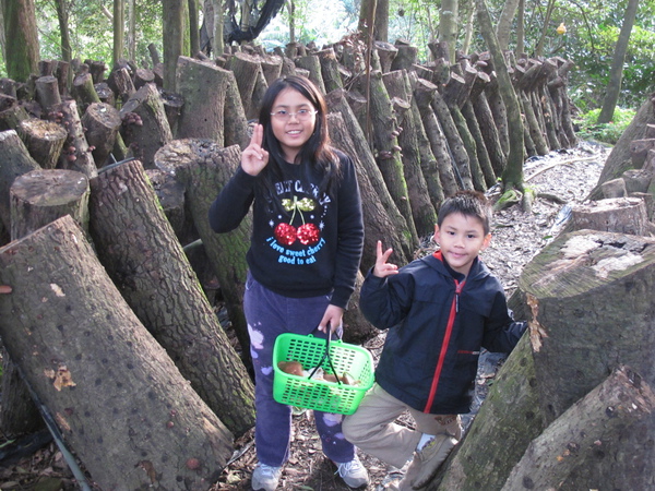 2010-12-26內湖清香農場 (7).JPG