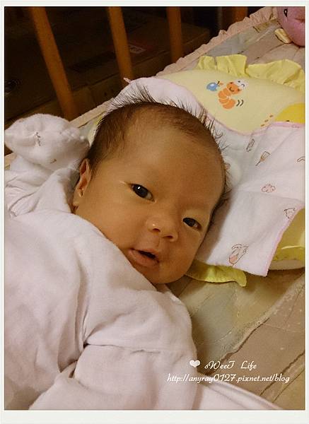 晴晴寶貝 (36).jpg