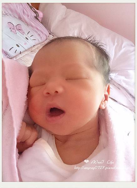 晴晴寶貝 (3).jpg