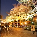 京都-夜櫻.JPG
